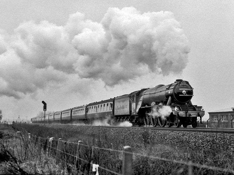 Flying Scotsman